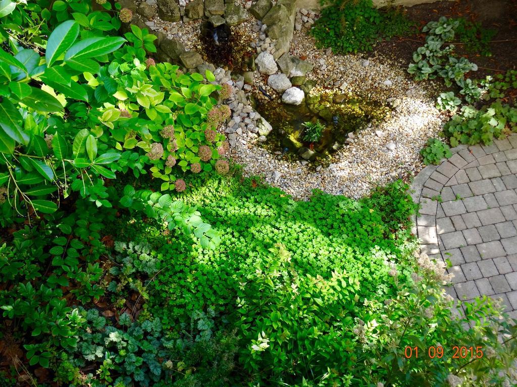 Sonnberg Apartments Vienne Chambre photo